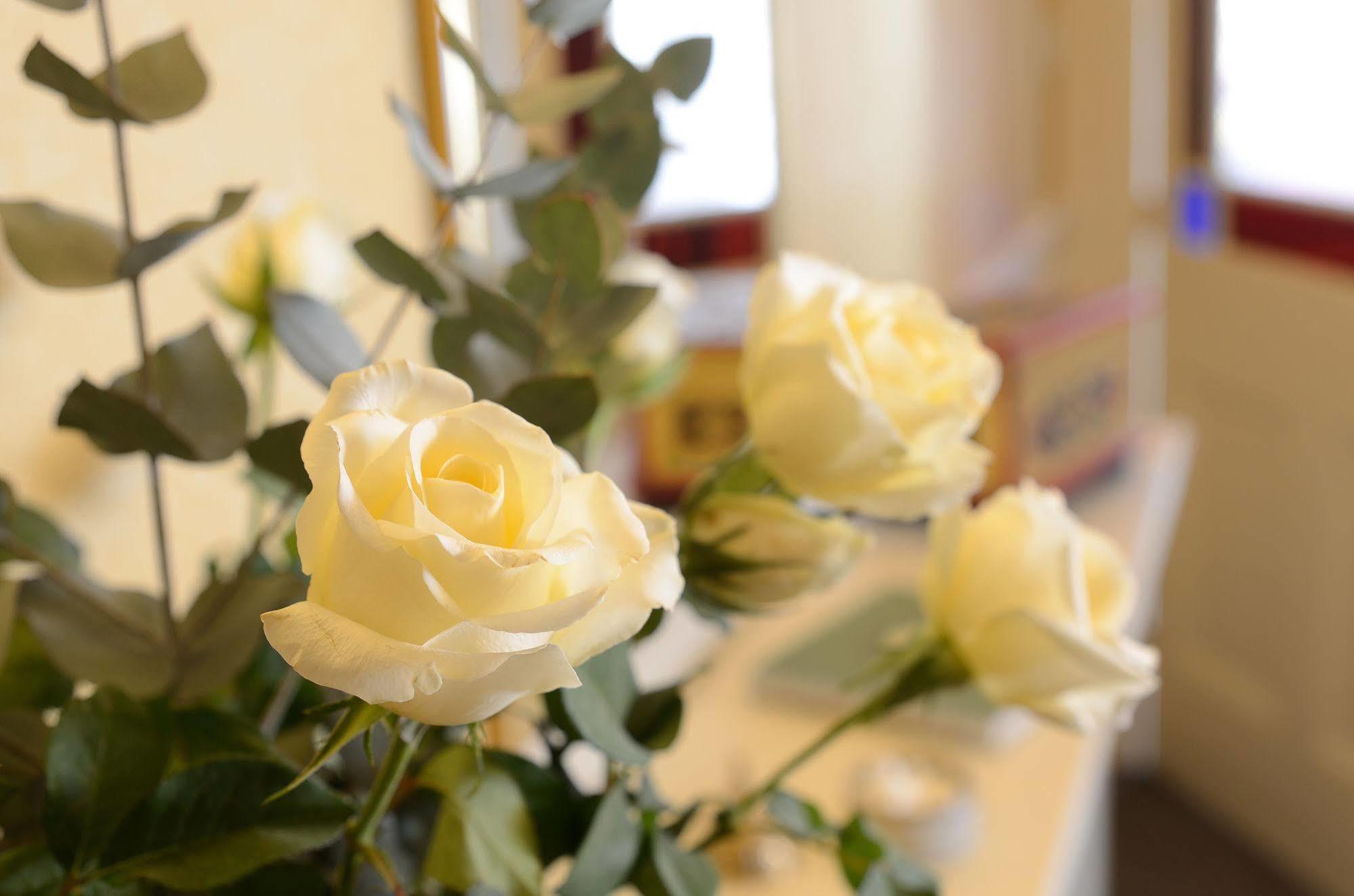 Crosby Bed & Breakfast Пенрит Екстериор снимка