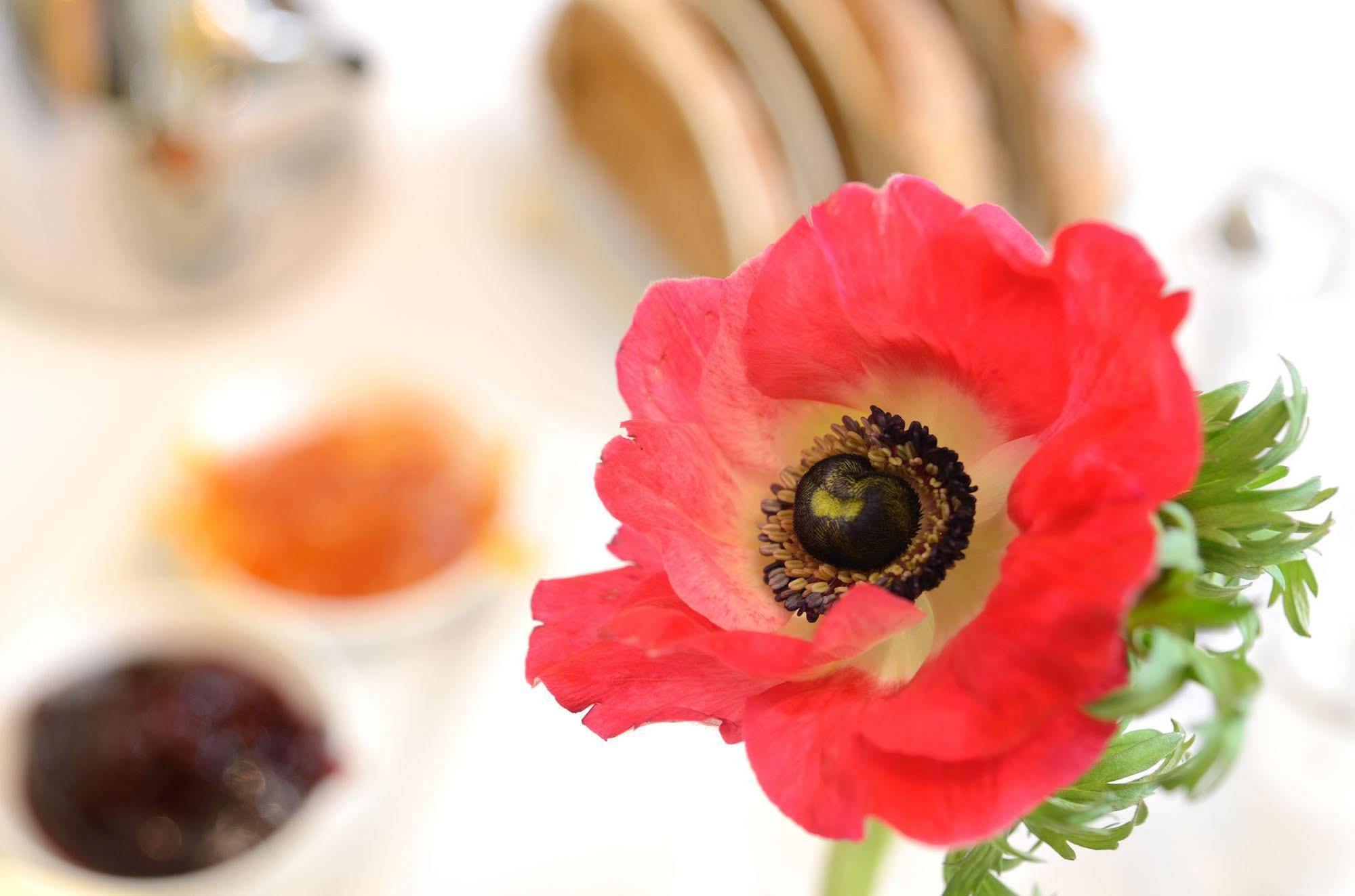 Crosby Bed & Breakfast Пенрит Екстериор снимка